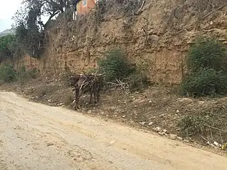 Image illustrative de l’article Route nationale 3 (Haïti)