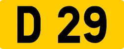 D 29