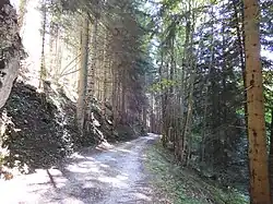 Route forestière de Valchevrière