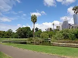 Le Royal Botanic Garden à Sydney - Étape 12