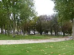 Photographie du jardin public montrant des allées sablées ponctuées de bancs, délimitant des pelouses plantées de hauts platanes ou d'essences d'arbres variées.