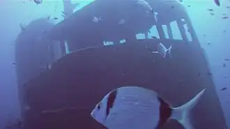 Un sar devant la passerelle