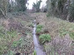 Ru de Rungis dans le parc des Sports.