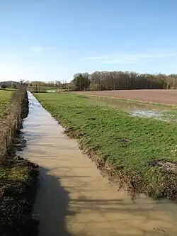 Le ru du Cuivre,février 2014