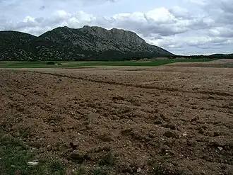 Rubielos de la Cérida