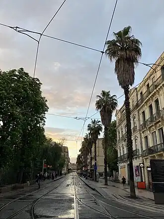 Image illustrative de l’article Rue de Maguelone