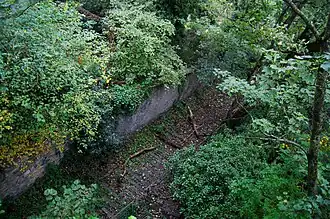 Image illustrative de l’article Rue des Bégards