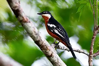 Description de cette image, également commentée ci-après