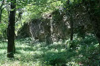 Ruines de l'abbaye féminine de Prébayon, une des caches du maquis Vasio.