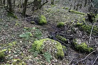 Le ruisseau des Cars.