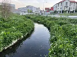 La Bièvre de nouveau découverte en 2022.