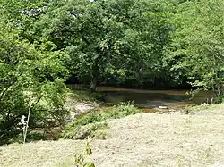 Le confluent du ruisseau de Boulou (venant d'en bas à gauche) et de la Vézère.