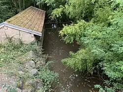 Ruisseau la Mâtre à Messimy-sur-Saône