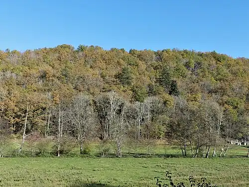 La vallée du ruisseau de Manaurie en amont du lieu-dit Lortal.