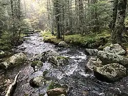 Ruisseau de la Morte à Chalmazel.