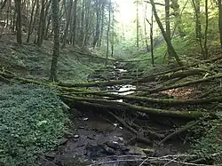 Le ruisseau du Moulin Ratet en 2017.