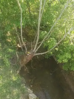 Ruisseau du Rohrbach entre Rohr et Gougenheim