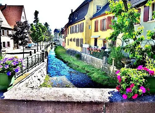 Ruisseau le Rimbach.