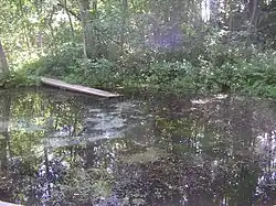 La source de Runeberg.