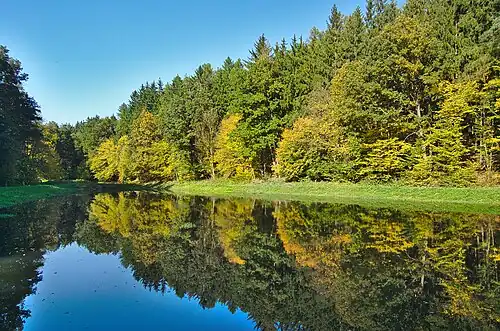 Étang dans la vallée du ruisseau Pilavka, près d'Ochozská Kyselka.