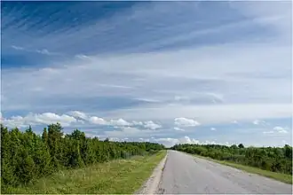 Image illustrative de l’article Route secondaire 11230 (Estonie)
