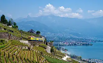 Vue de Lavaux et de la Riviera vaudoise.