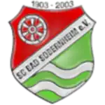 Logo du SC Bad-Sobernheim