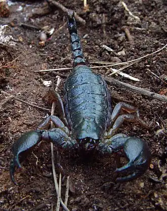 Description de cette image, également commentée ci-après