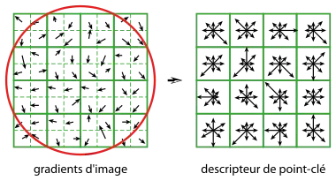 Illustration de la construction d'un descripteur SIFT à partir d'une région de 16 × 16 pixels.