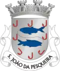 Blason de São João da Pesqueira