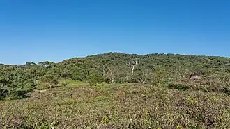 Image illustrative de l’article Réserve forestière de Sinharâja