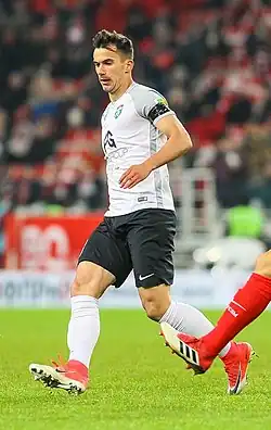 Image illustrative de l’article Marko Poletanović