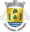 Blason de Vale de Figueira