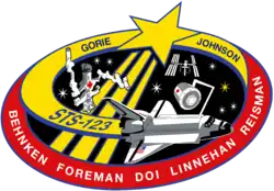 Insigne de la mission