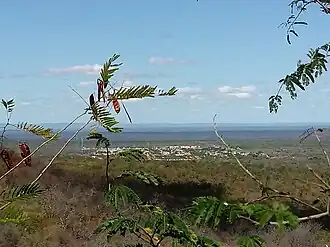 São João da Fronteira