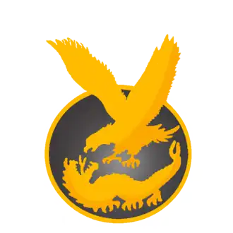 Image illustrative de l’article Forces spéciales égyptiennes