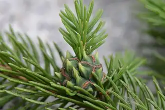Description de cette image, également commentée ci-après