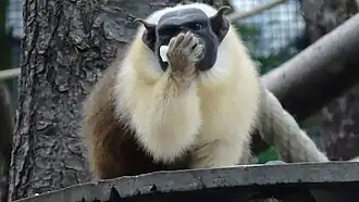 Repas au Parc Zoologique de Paris