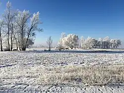 Campagne sous la neige