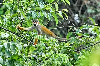 Description de cette image, également commentée ci-après
