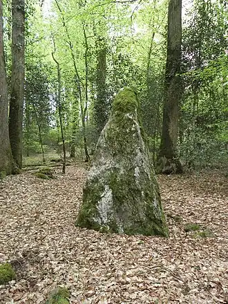 Un des menhirs de la forêt de Haute-Sève.