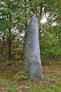 Menhir du Plessis-Gamat