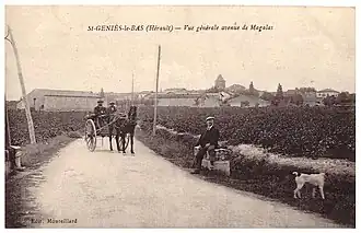 Vue générale avenue de Magalas (avenue de la République).