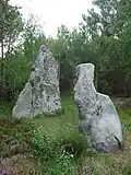 Menhirs de la Mère et la Fille.