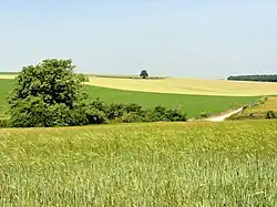 Paysage de la commune.