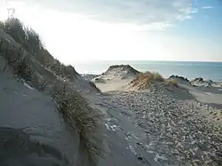 L'action du vent a façonné la crête des dunes en « crocs ».