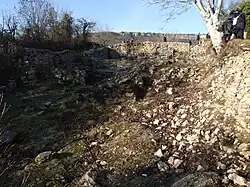 Ruines du vieux château.
