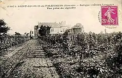 Le Château Lescours.