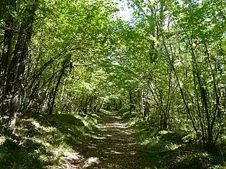 Image illustrative de l’article Causse de Cubjac