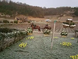 Exemples de décoration : fleurs de papier et mannequins.